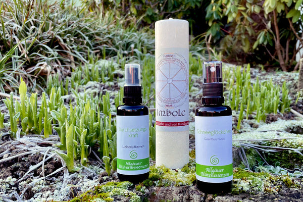 Imbolc – Das wiederkehrende Licht