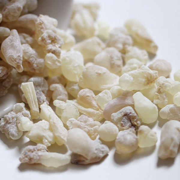NEU! Boswellia Sacra Weihrauch "SUPERIOR WHITE HOJARI"