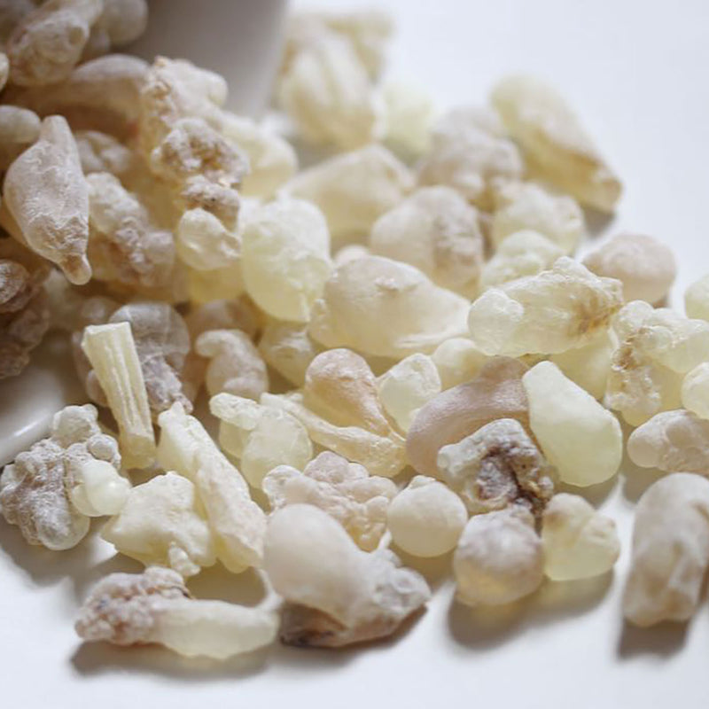NEU! Boswellia Sacra Weihrauch "SUPERIOR WHITE HOJARI"
