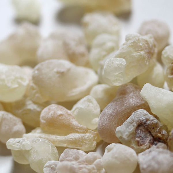NEU! Boswellia Sacra Weihrauch "SUPERIOR WHITE HOJARI"