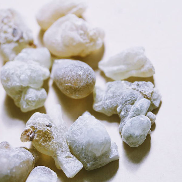 NEU! Boswellia Sacra Weihrauch "DEEP GREEN HOJARI"